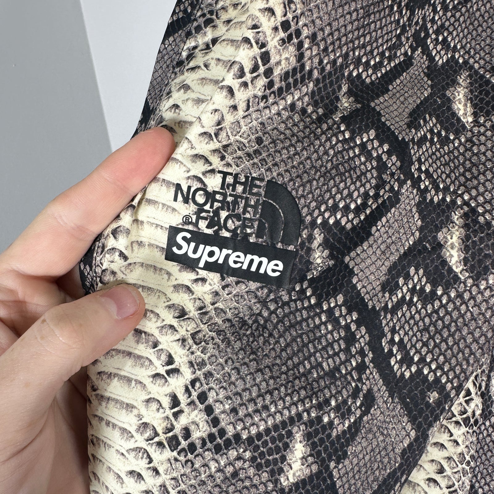 Supreme x The North Face Snakeskin Nylon Pant Size M