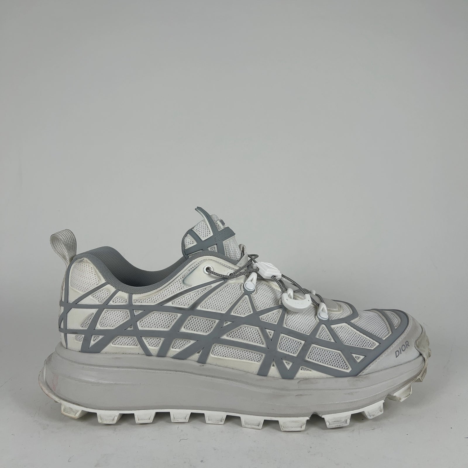Dior B31 Low-Top Sneaker