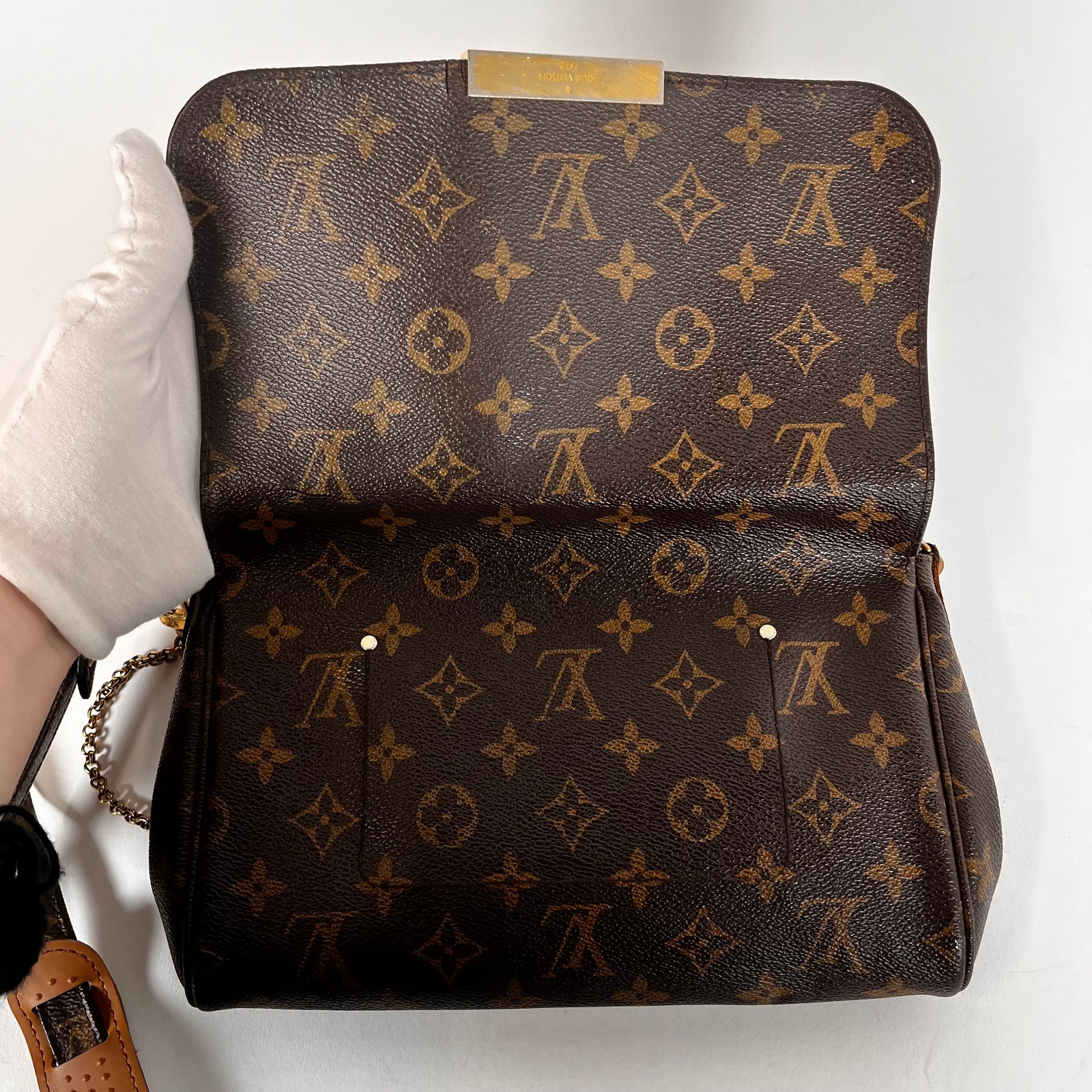 Louis Vuitton Favorite Monogram Canvas