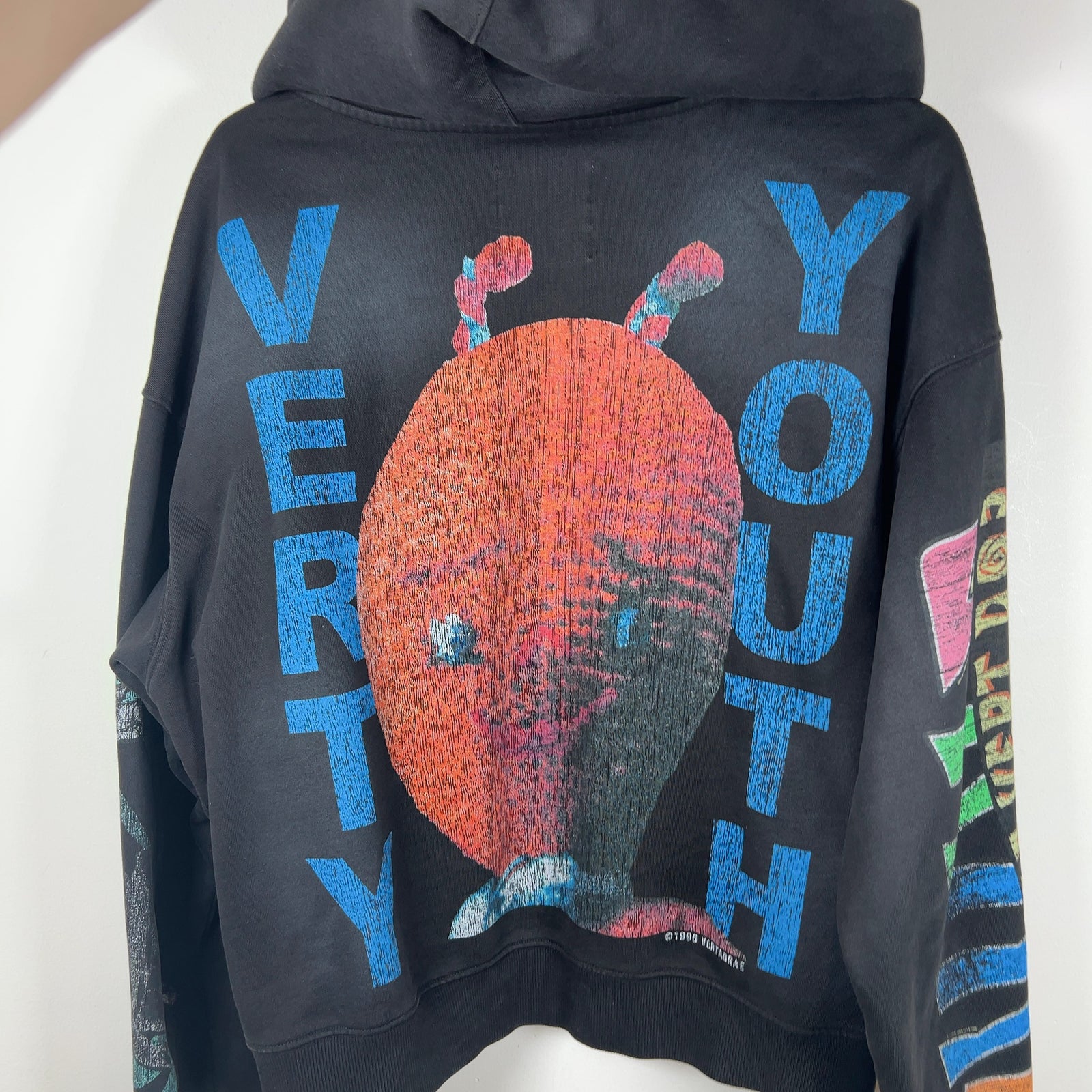 Vertabrae Montage Black Zip Up Hoodie