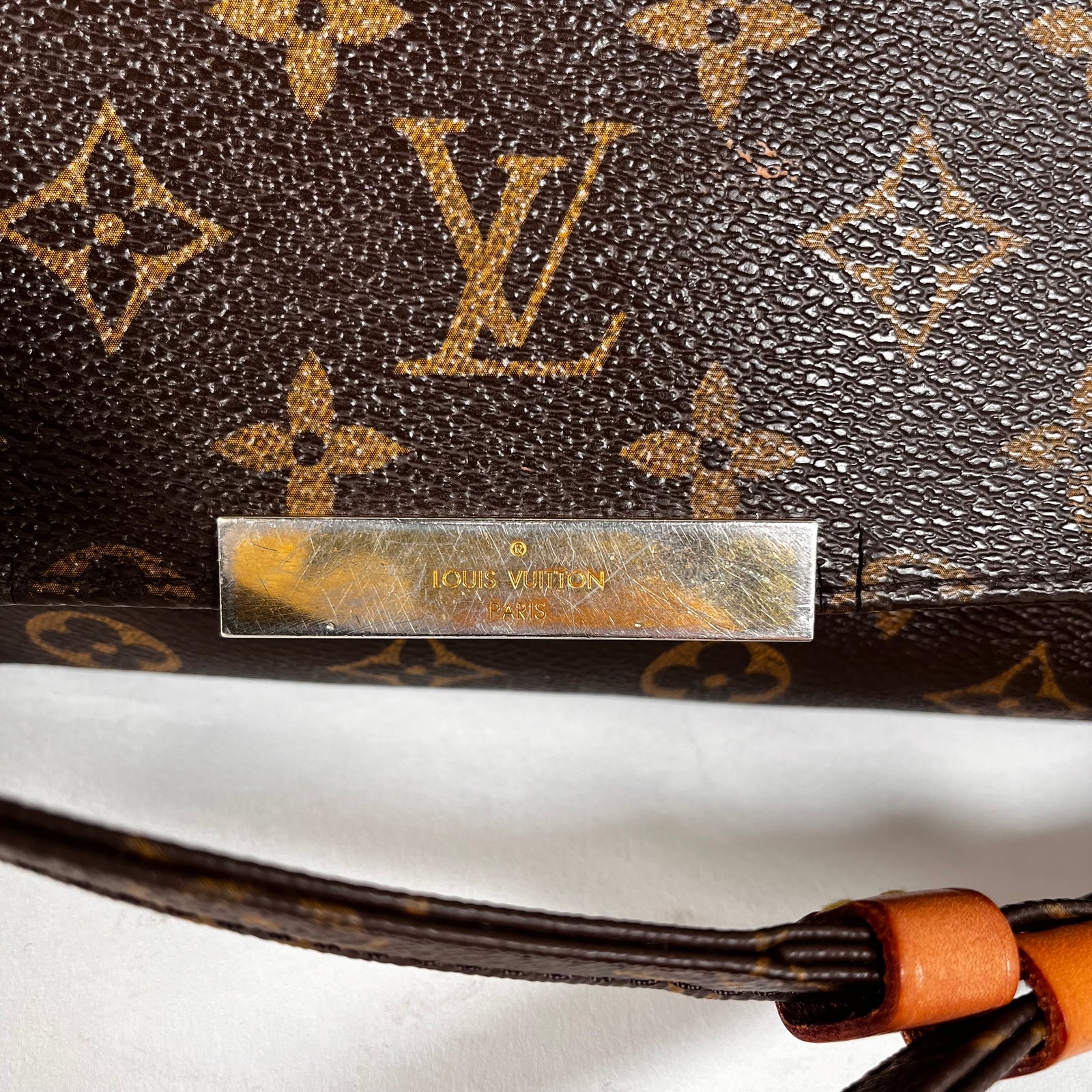 Louis Vuitton Favorite Monogram Canvas
