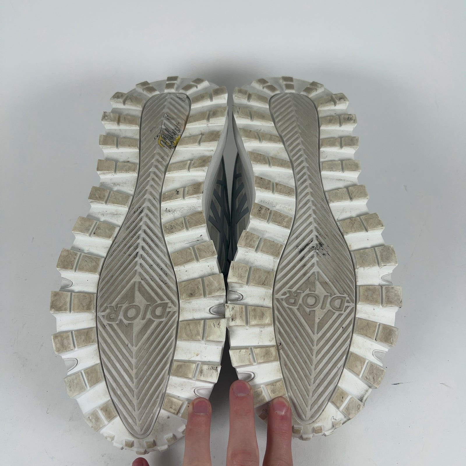 Dior B31 Low-Top Sneaker
