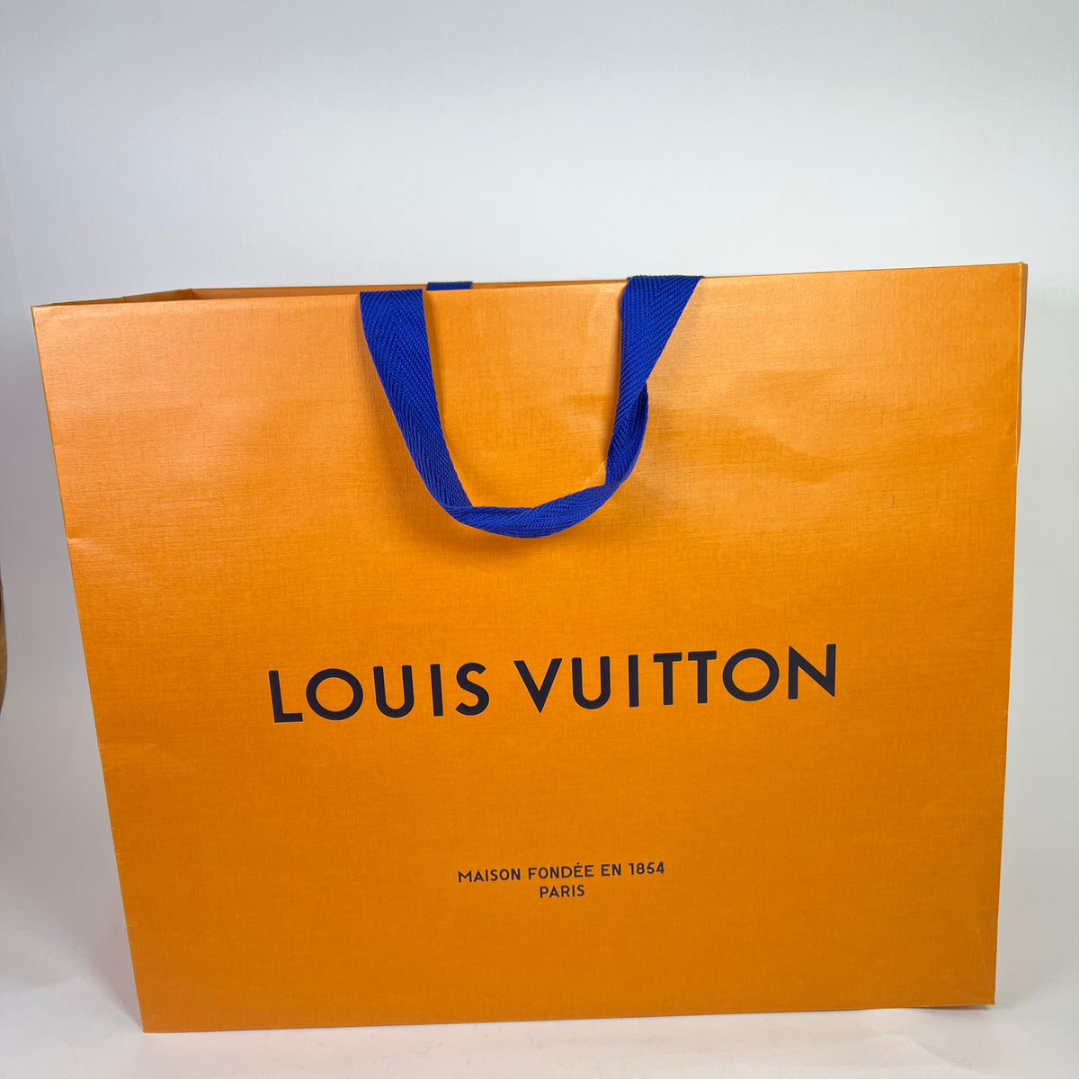 Louis Vuitton Monogram NeoNoe MM Bucket Bag