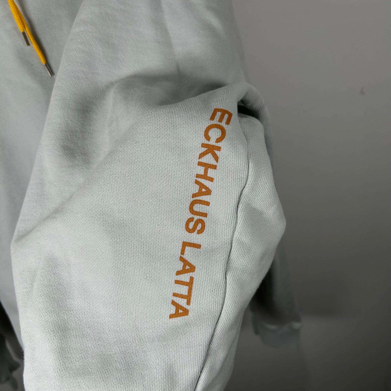 Eckhaus Latta Baby Blue Logo Hoodie Size S