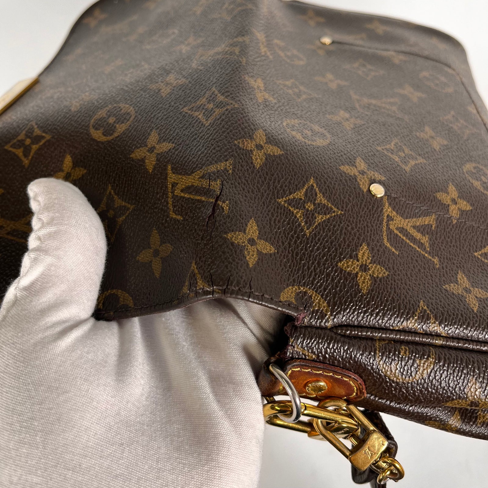 Louis Vuitton Favorite Monogram Canvas