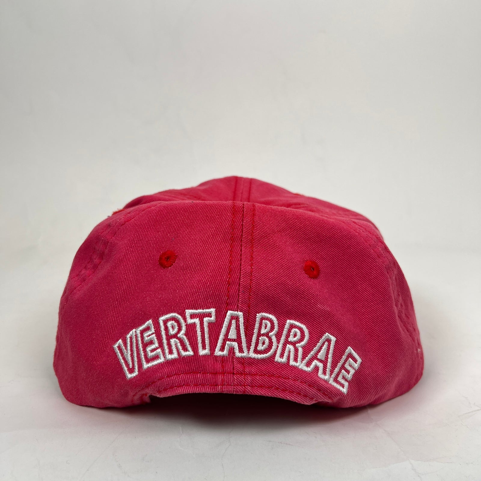 Vertabrae Washed Red Vintage Logo Snapback