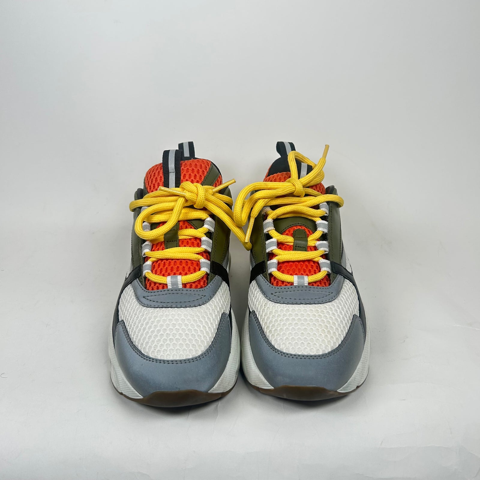 Dior x Peter Doig B22 Size 39