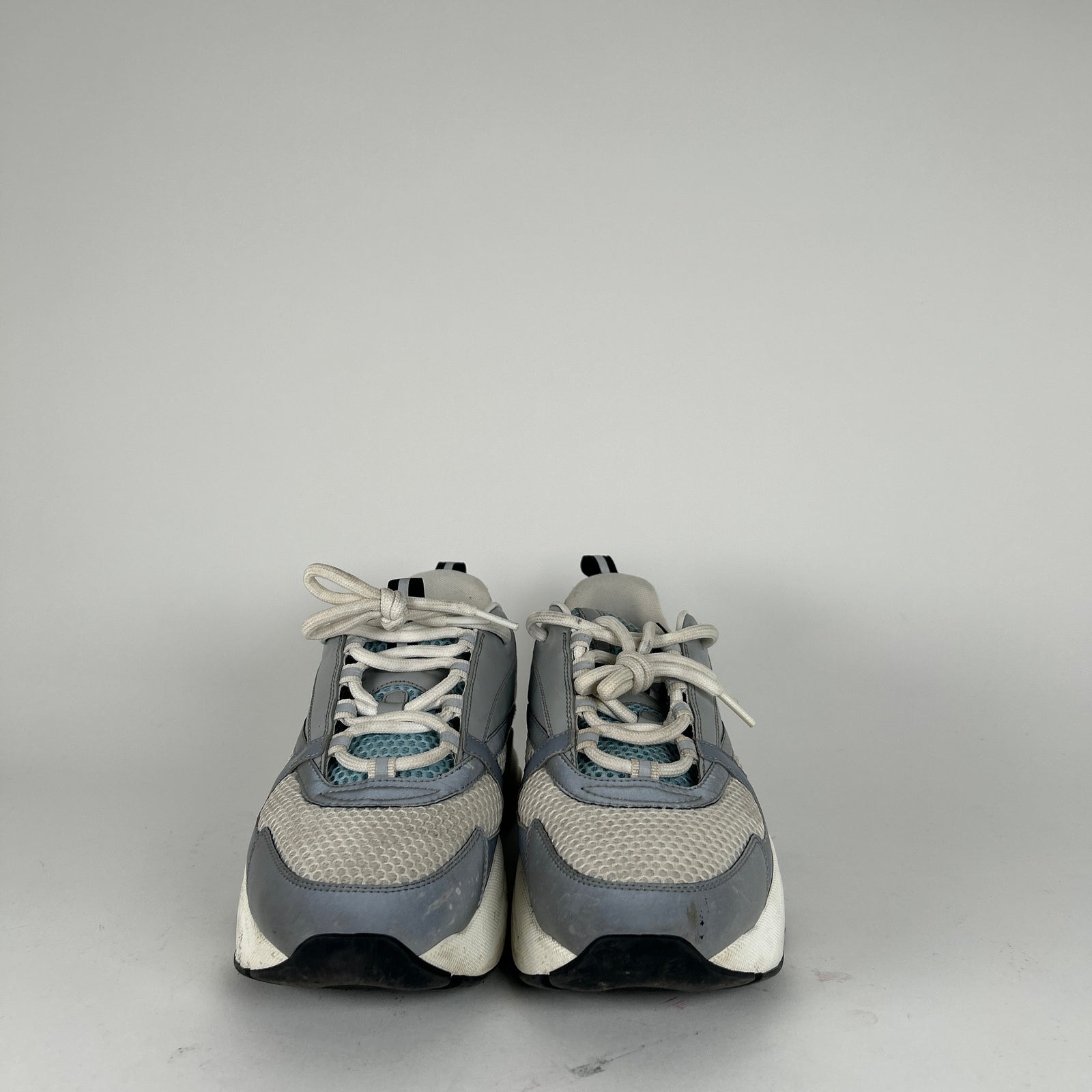 Dior B22 Tarheel Low Tops Size 43