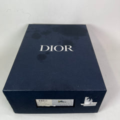 Dior B22 Brown/Violet Sneaker Size 44