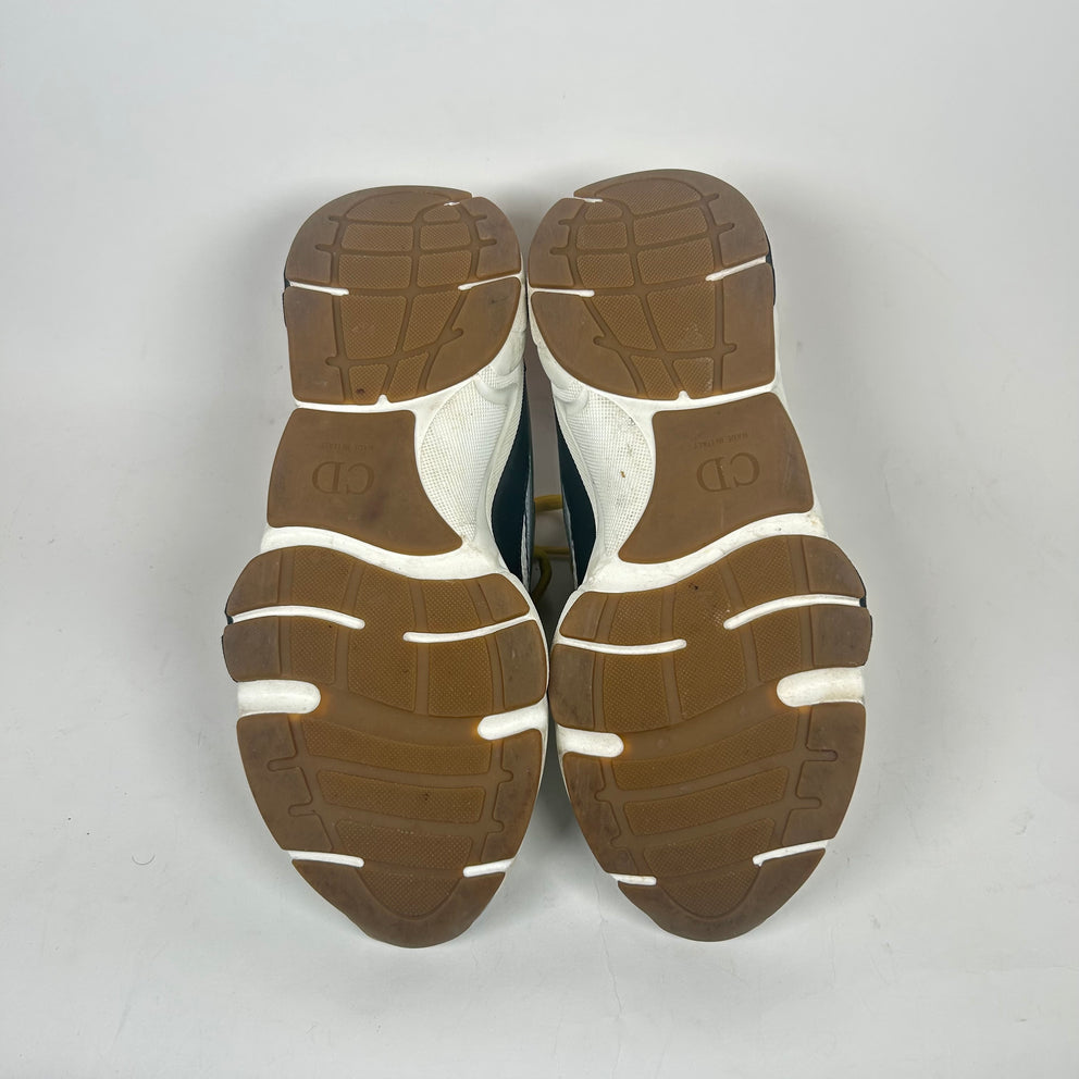 Dior x Peter Doig B22 Size 39