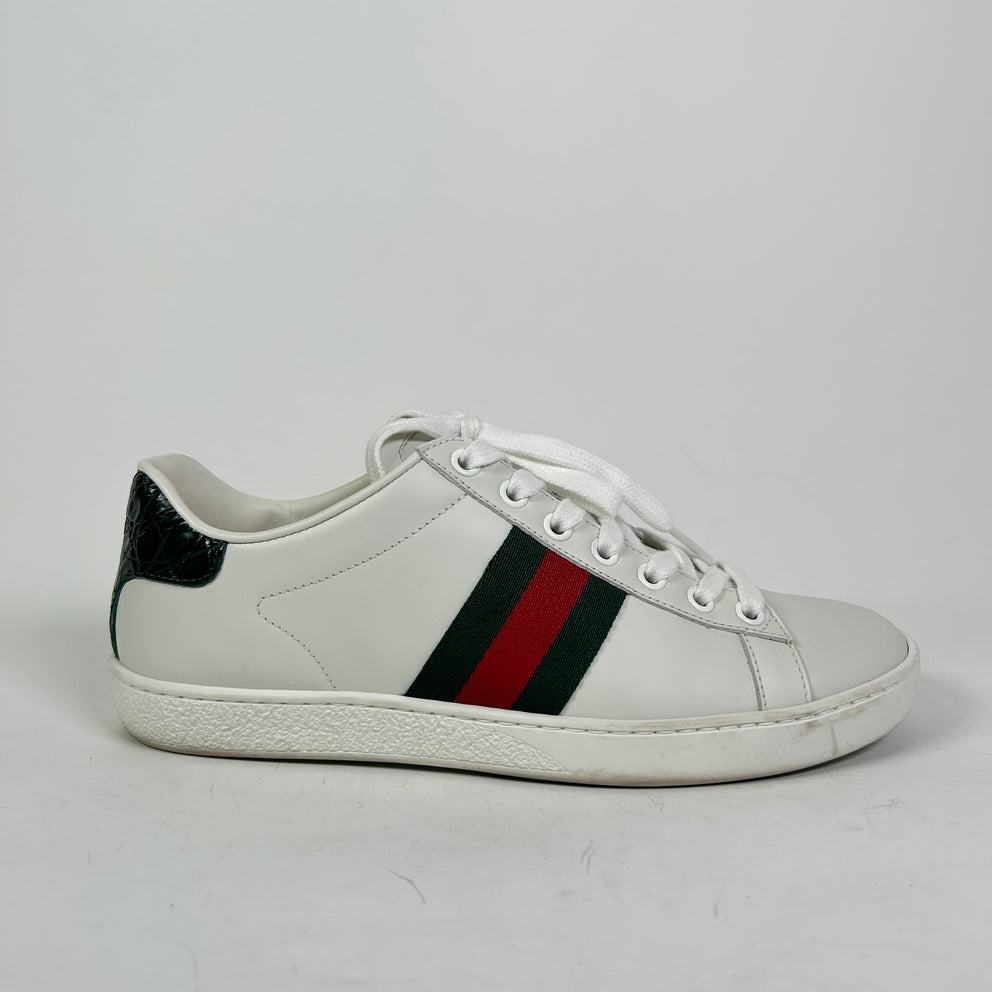 Gucci Web Ace Leather Sneaker