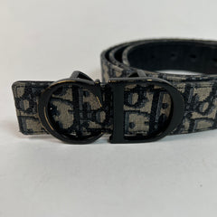 Christian Dior CD Belt