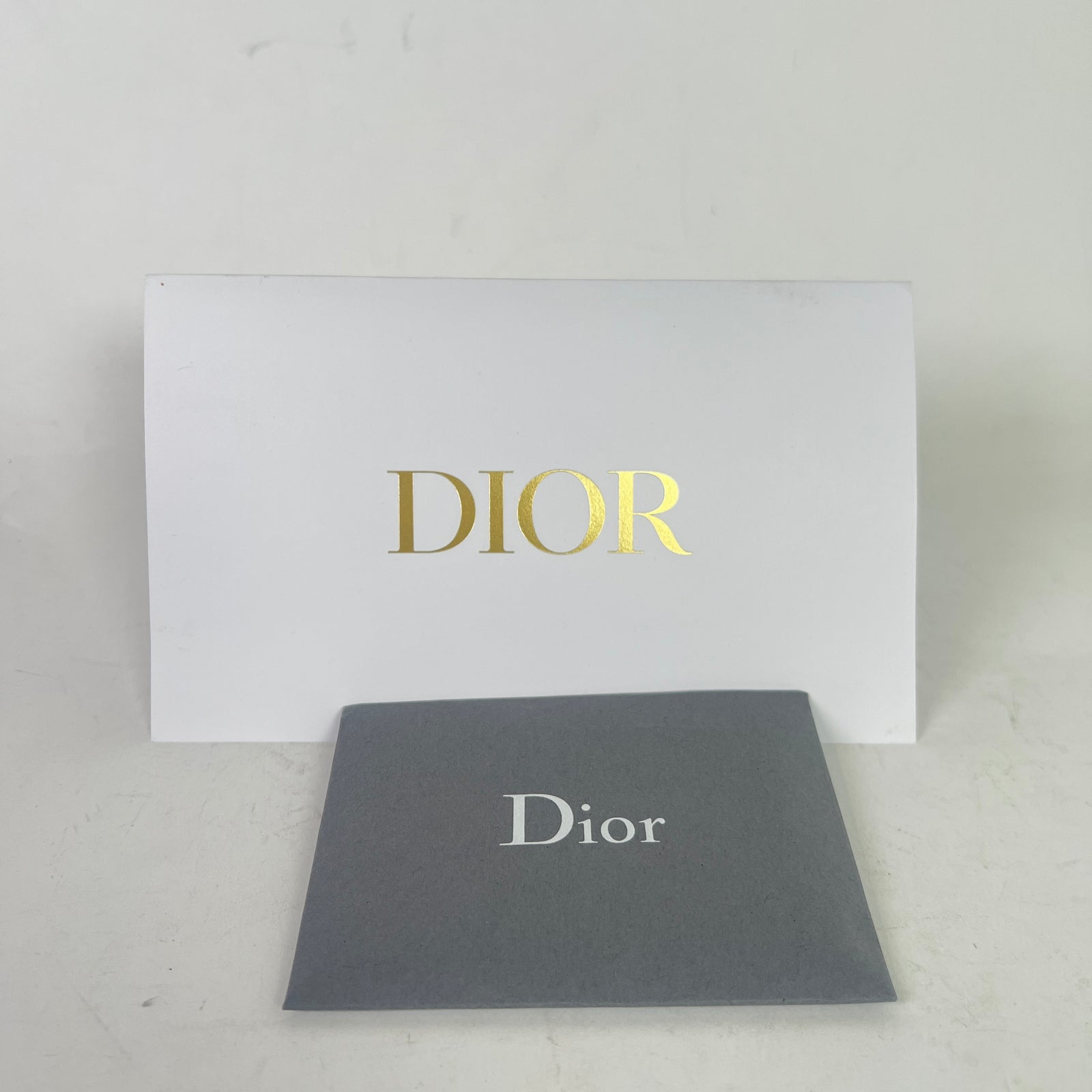 Dior Latte Grained Calfskin Medium Saddle Bag