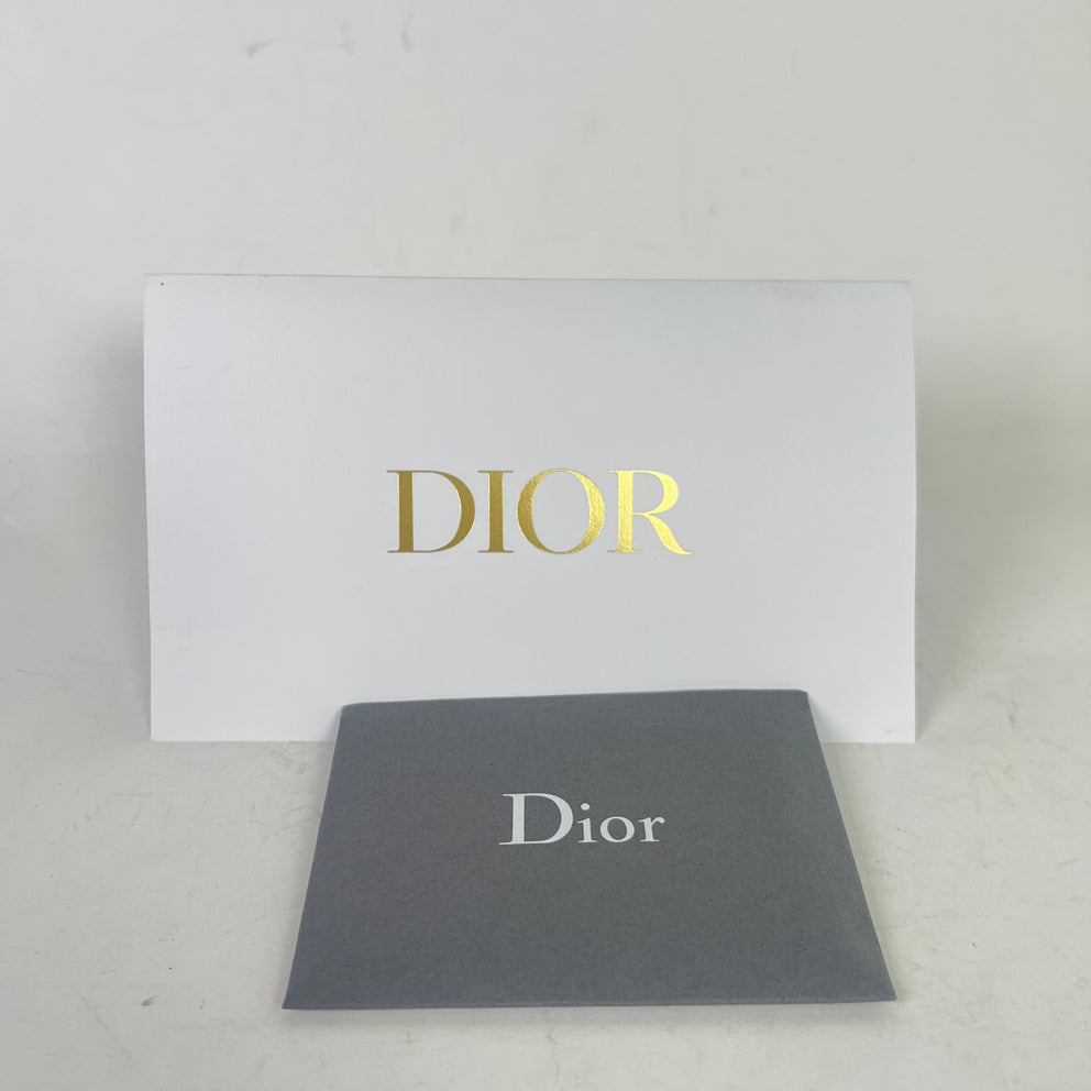 Dior Latte Grained Calfskin Medium Saddle Bag