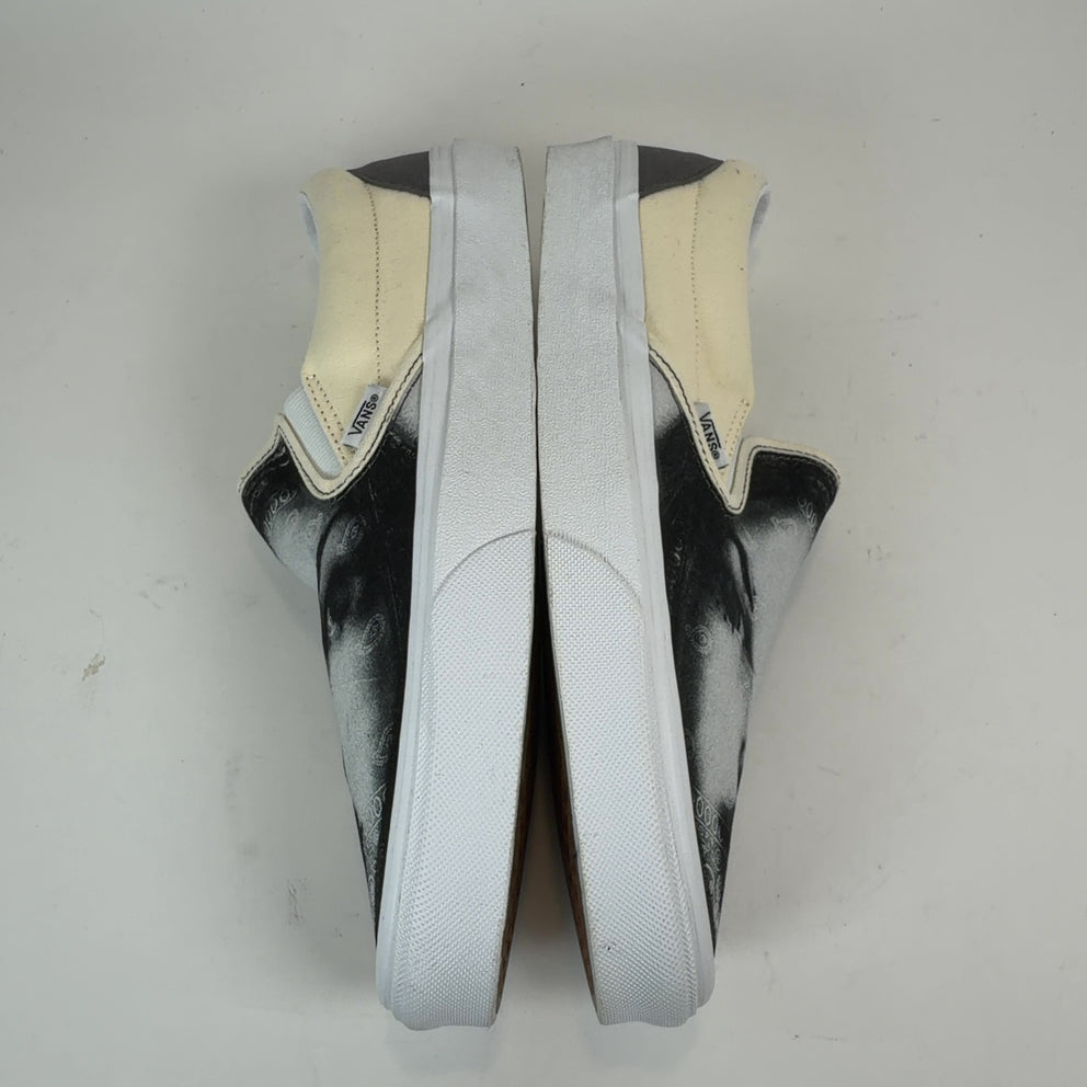 Vans X T-Rex 'Her' Slip on Sneakers