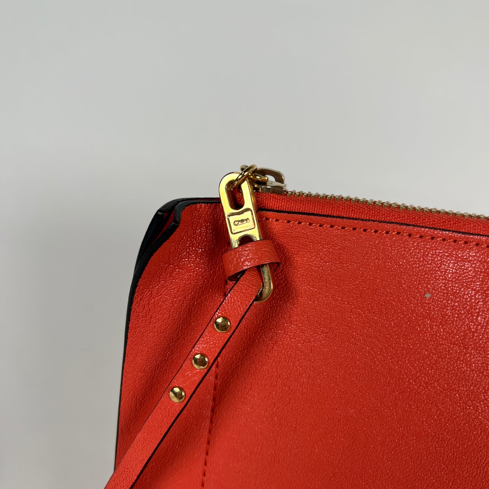 Chloe Salmon Clutch