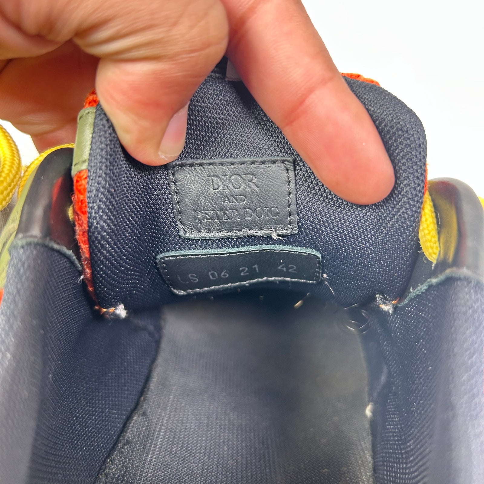 Dior x Peter Doig B22 Olive/Orange Sneaker