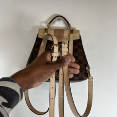 Louis Vuitton Damier Ebene Clapton Backpack