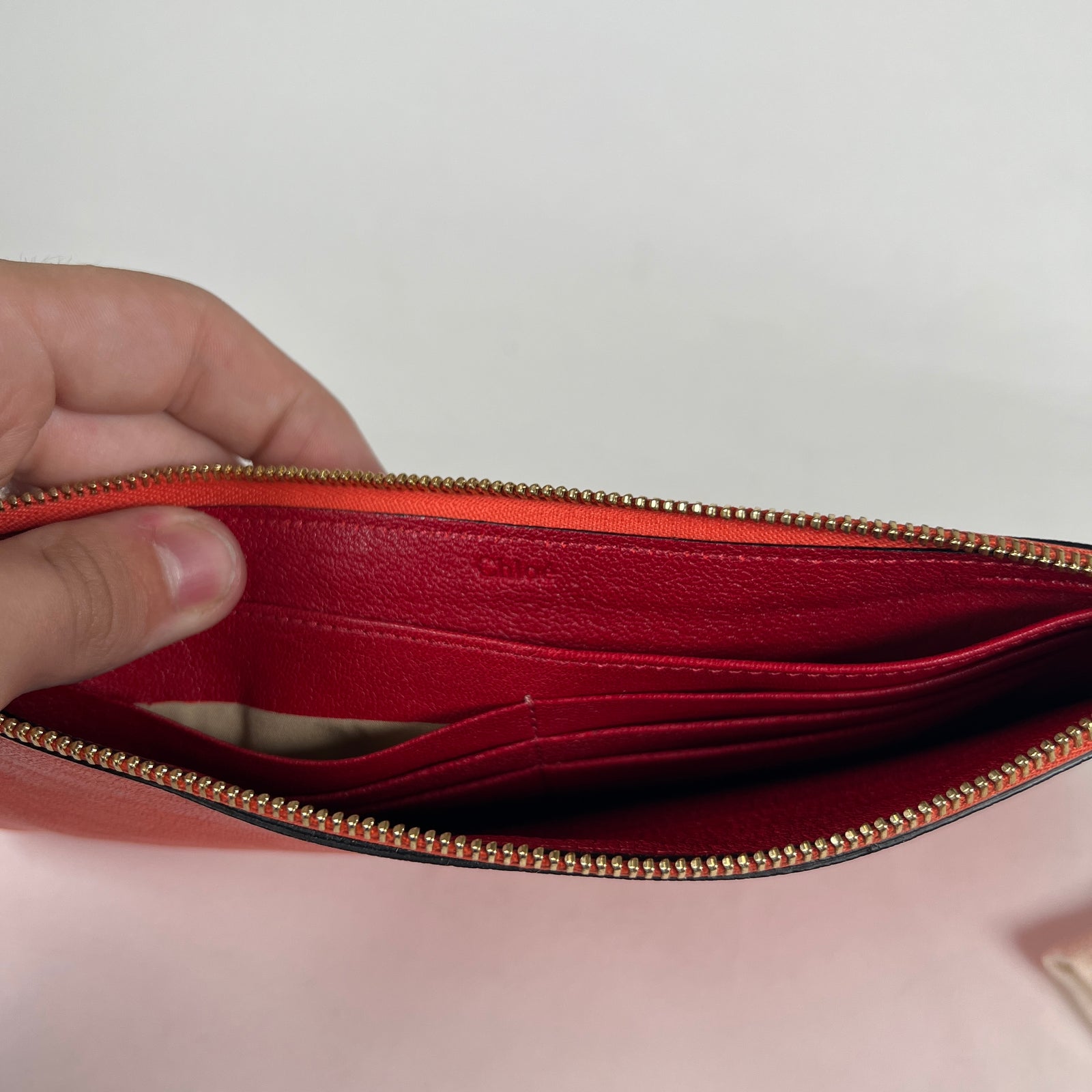 Chloe Salmon Clutch