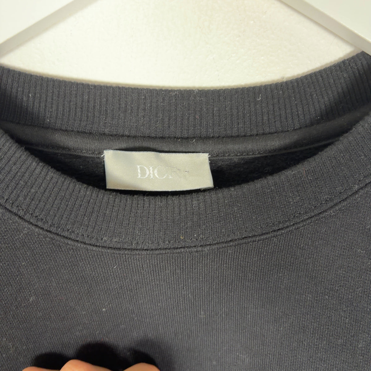 Dior x Raymond Pettibond Logo Crewneck Sweatshirt