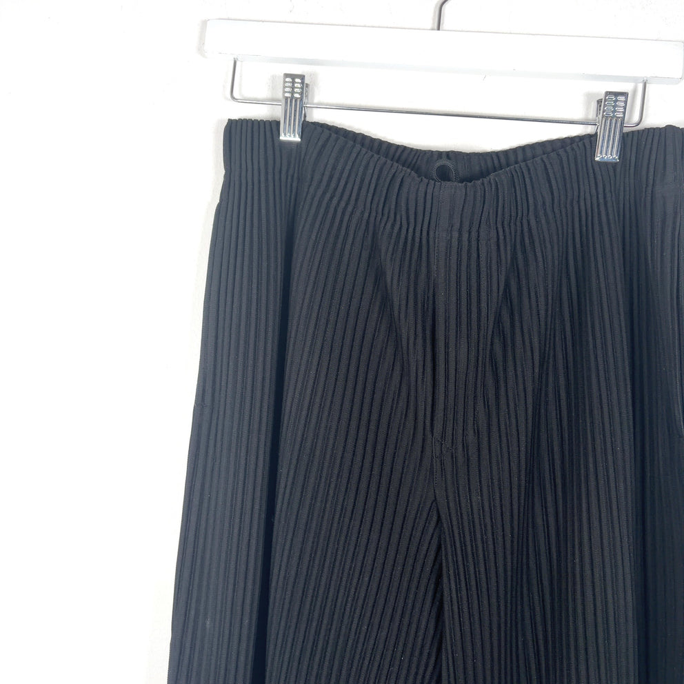 Issey Miyake Pleats Black Pants