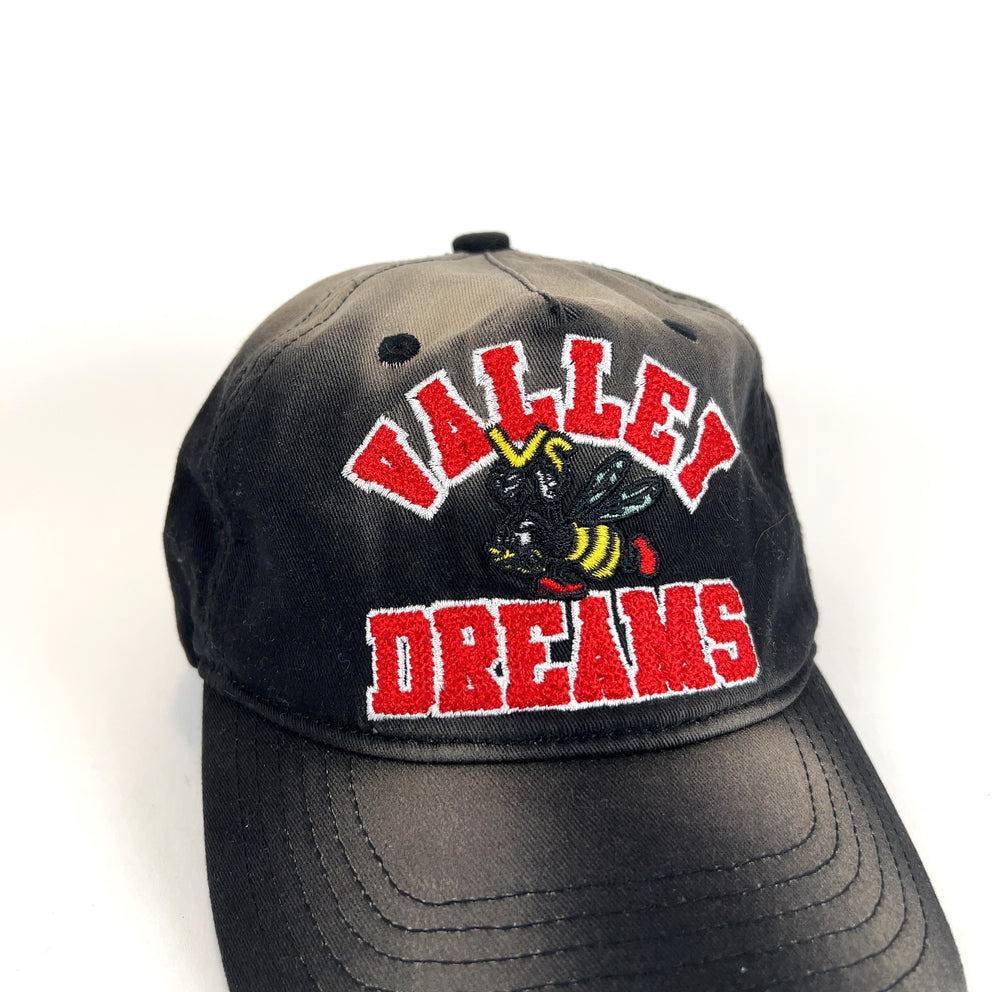 Vale 'Valley Dreams' Hornet Graphic Hat