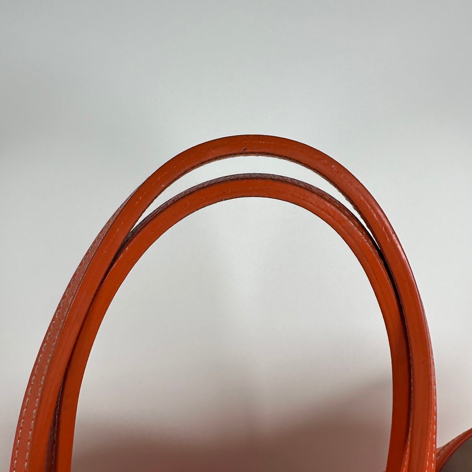 Goyard St.Louis Pm Orange Tote