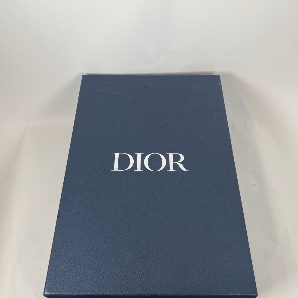 Dior B22 White/Light Blue Sneaker Size 45