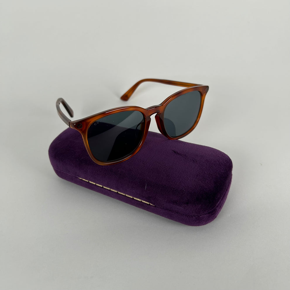 Gucci Bee Acetate Frame Sunglasses