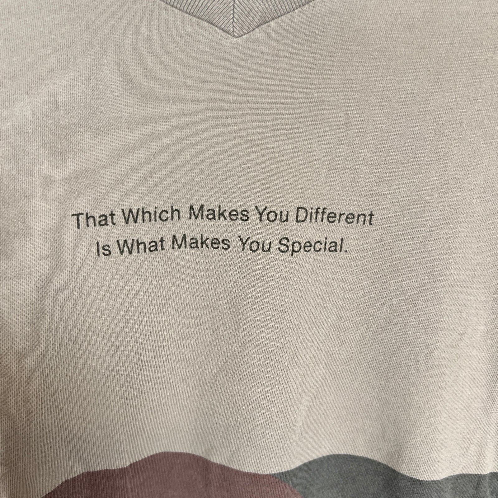 Pharell Brown Uniqlo T-shirt Size L