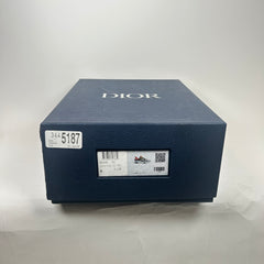 Dior x Peter Doig B22 Size 39