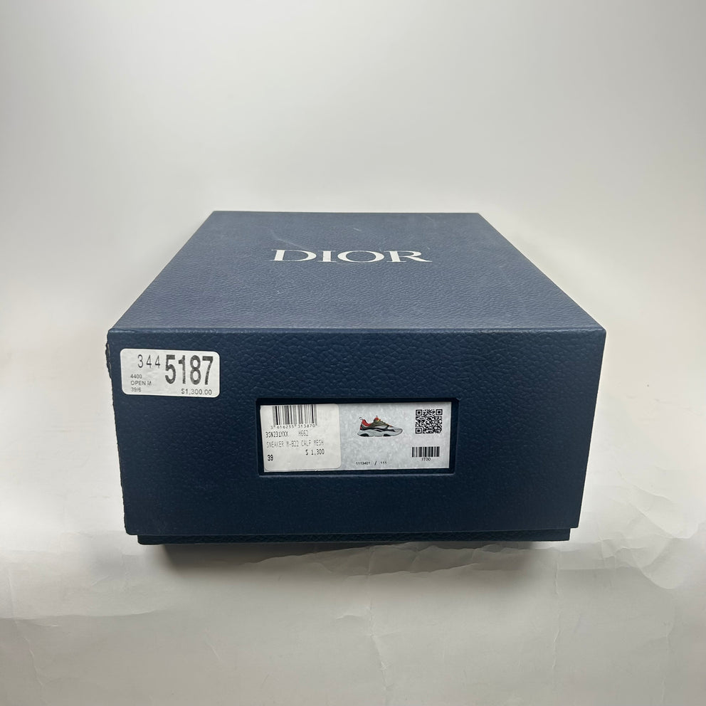 Dior x Peter Doig B22 Size 39