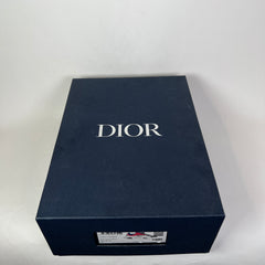 Dior B22 Pink/Blue Sneaker Size 45