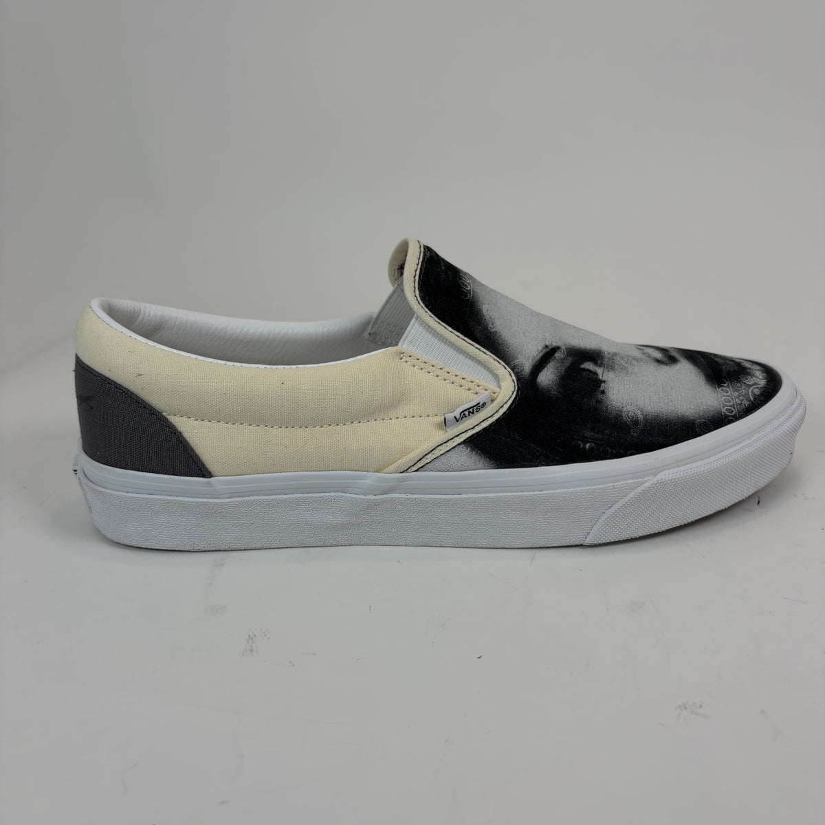 Vans X T-Rex 'Her' Slip on Sneakers