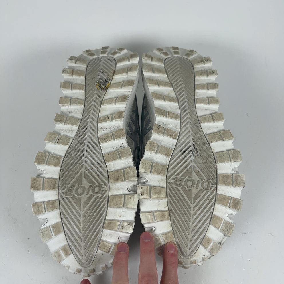 Dior B31 Low-Top Sneaker