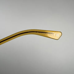 Dior Prisemo Acetate Sunglasses