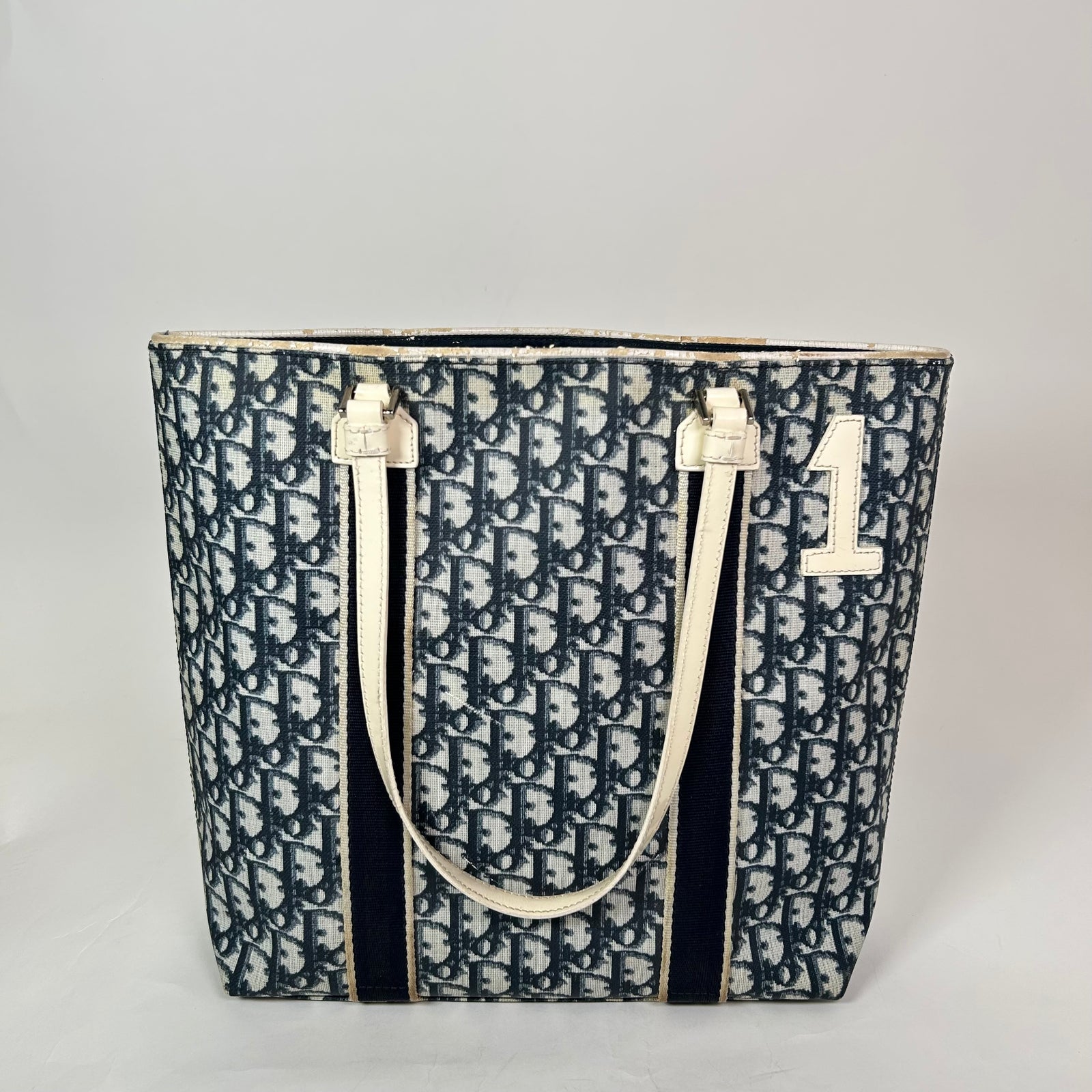 Christian Dior Trotter 1 Canvas Tote Bag