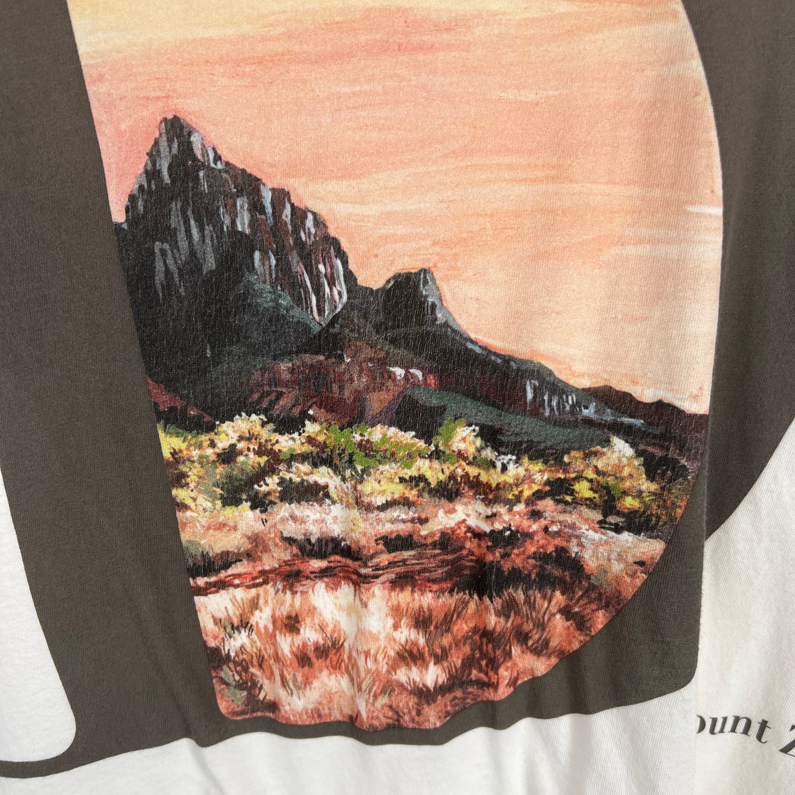 Dior Mount Zion T-Shirt Size S