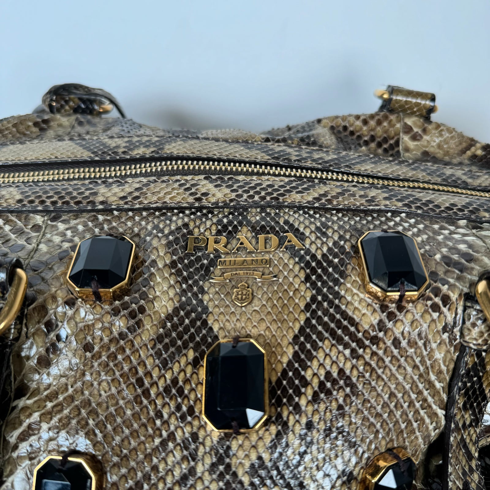 Prada Python Pione Pietre Shoulder Bag