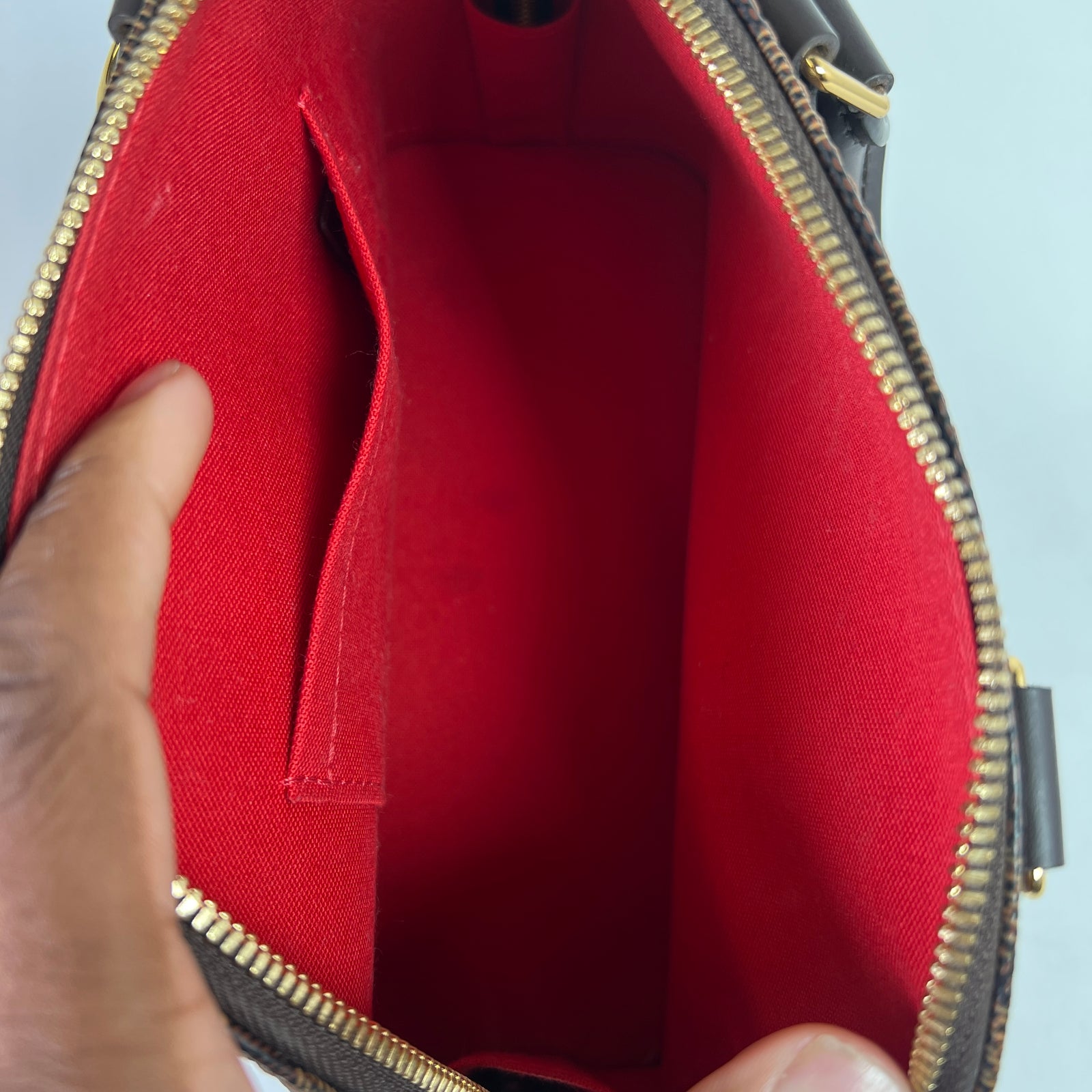 Louis Vuitton Ebene Damier Alma Bag