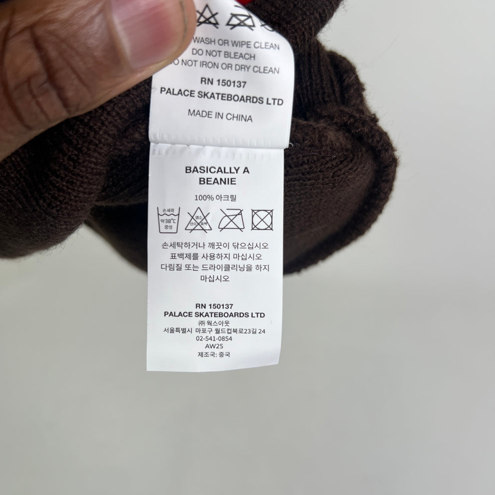 Palace Basically A Beanie