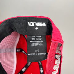 Vertabrae Washed Red Vintage Logo Snapback