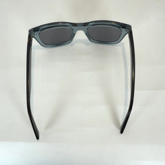 Dior Tie Logo Acetate Wayfarer Sunglasses
