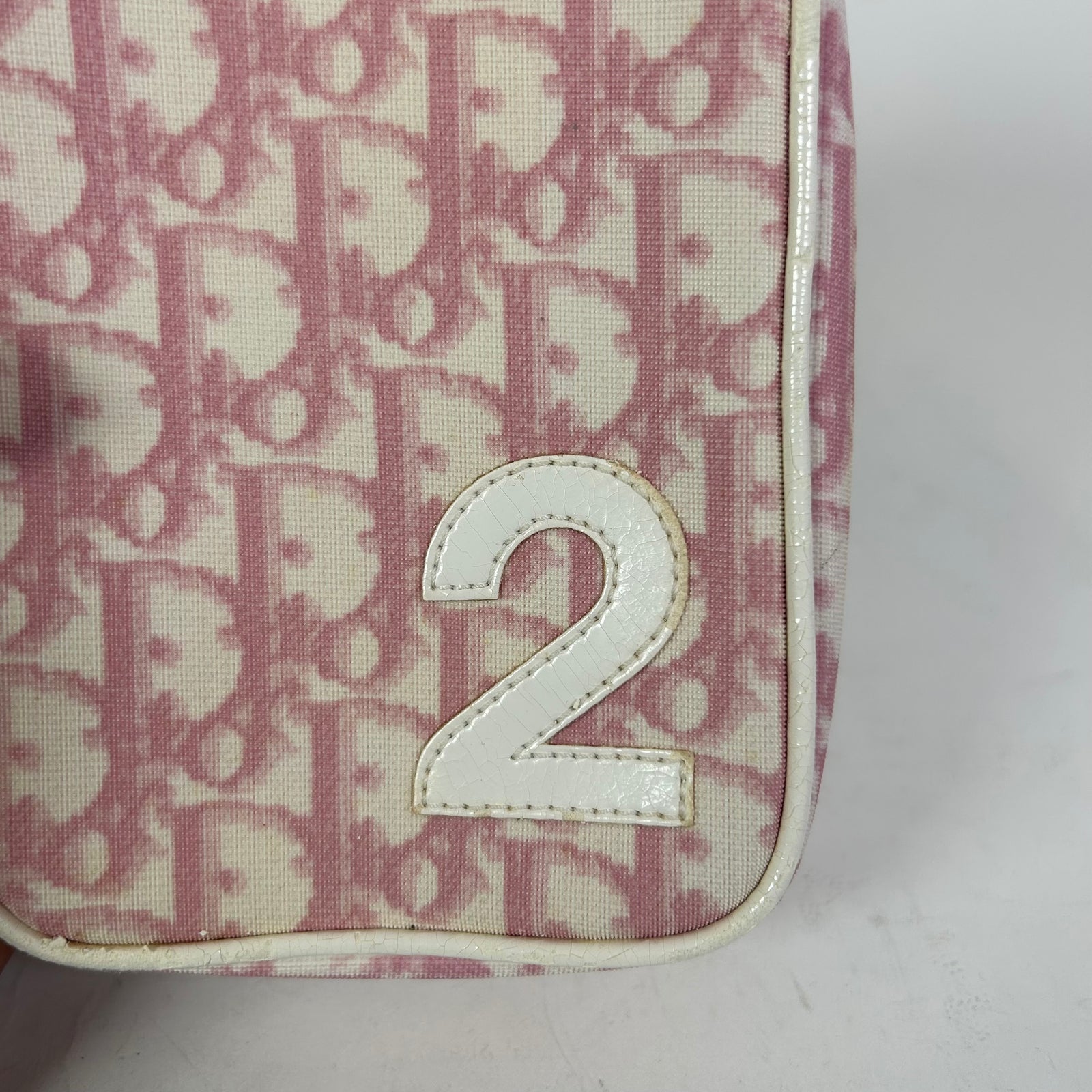 Christian Dior Oblique Trotter Cosmetic Pouch