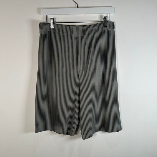 Issey Miyake Homme Pleated Gray Shorts Size 30