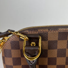 Louis Vuitton Ebene Damier Alma Bag