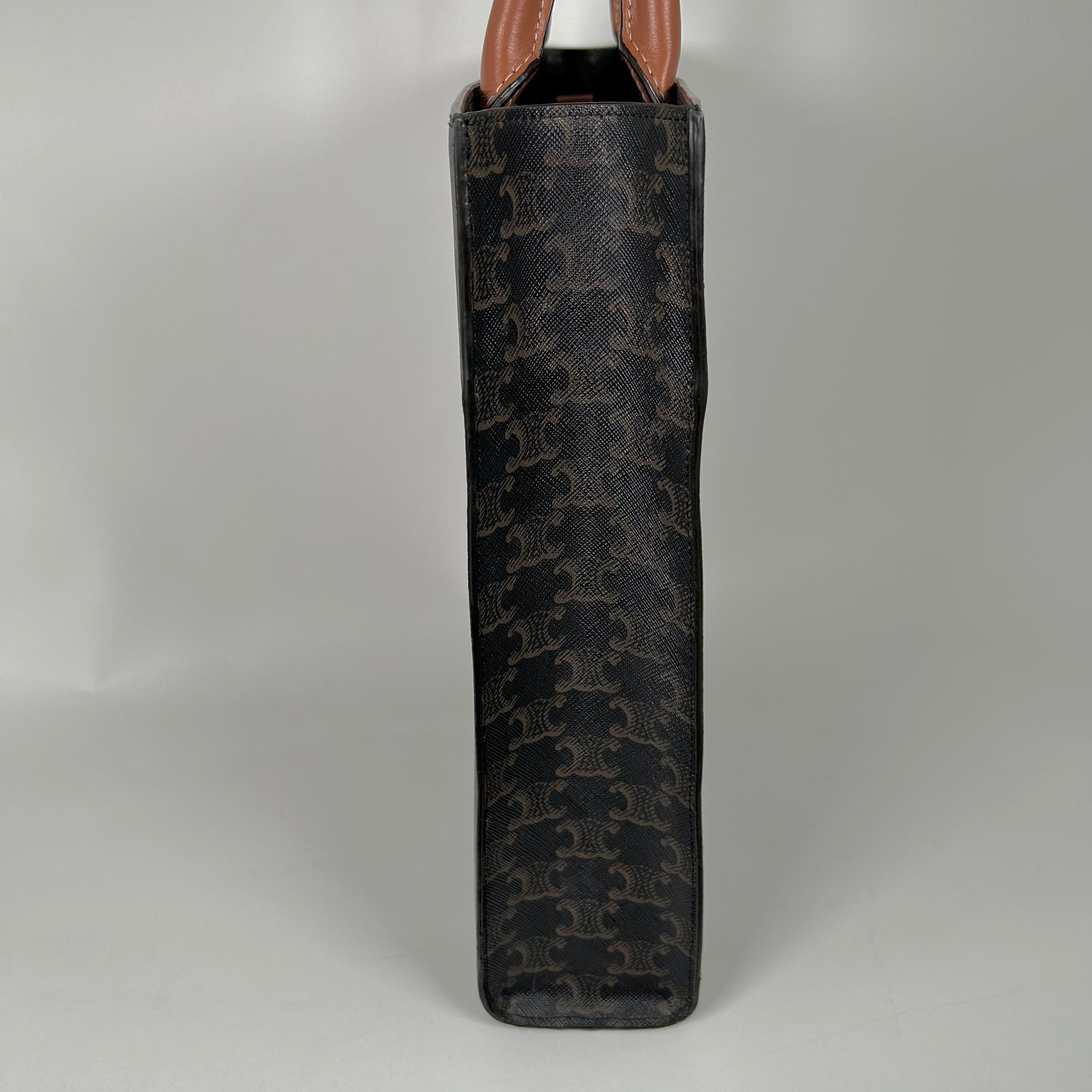 Celine Cabas Vertical Triomphe Logo Tote