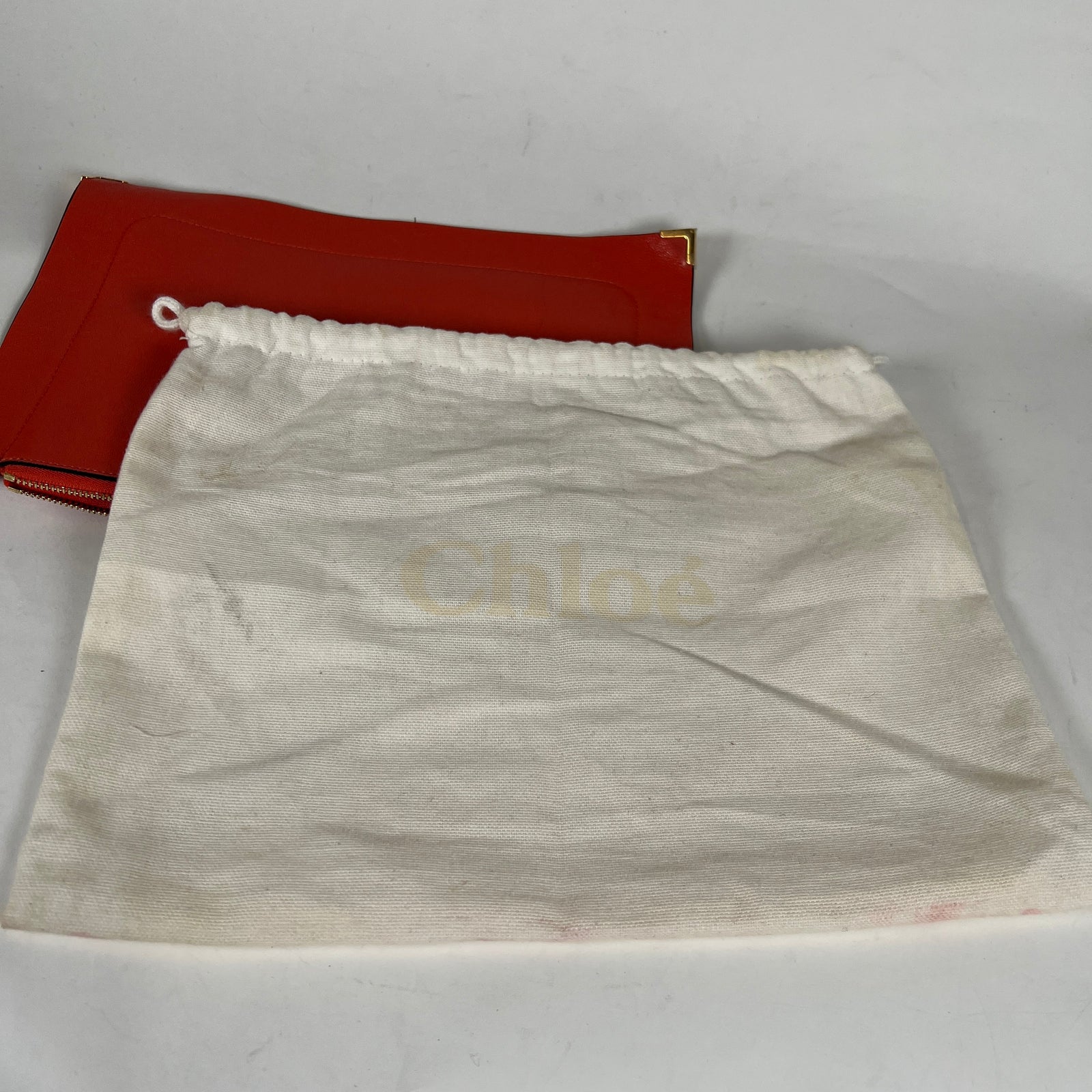 Chloe Salmon Clutch