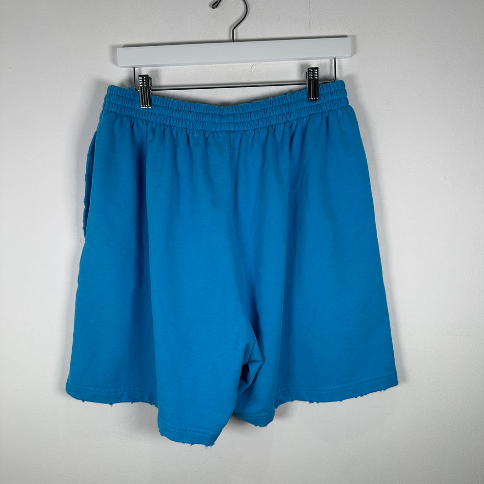Balenciaga Campaign Blue Shorts Size M
