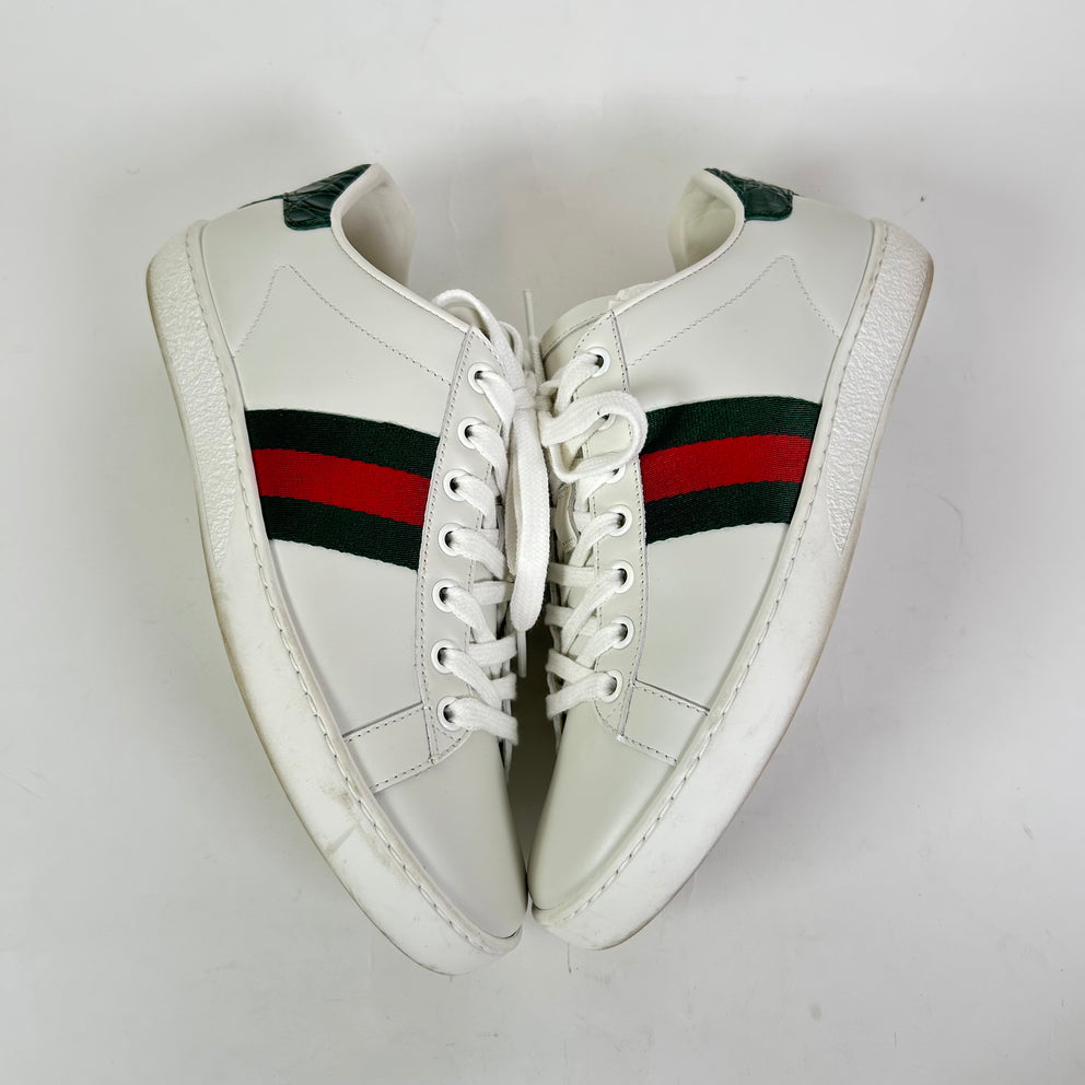 Gucci Web Ace Leather Sneaker
